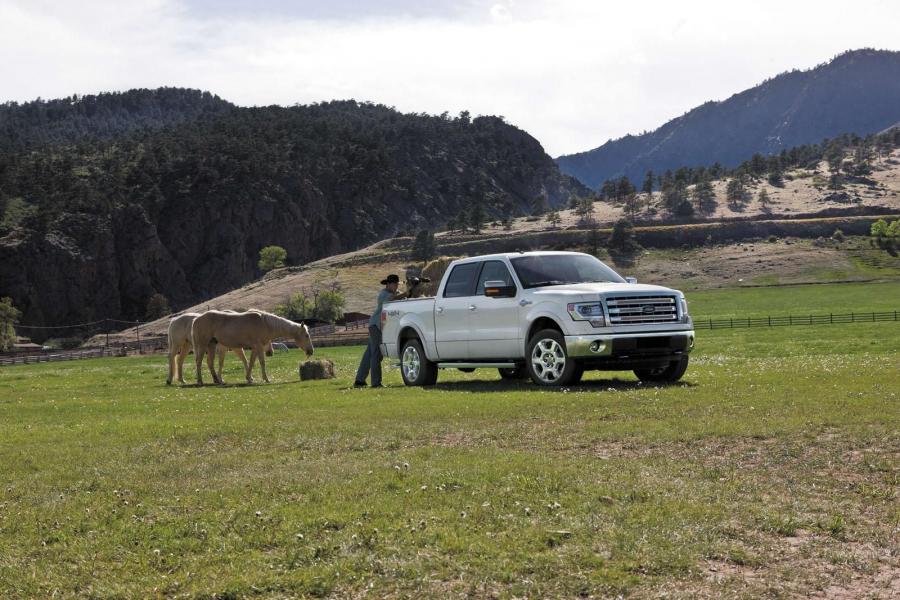  Ford F-150 King Ranch 2013 года  (фото 7 из 8)